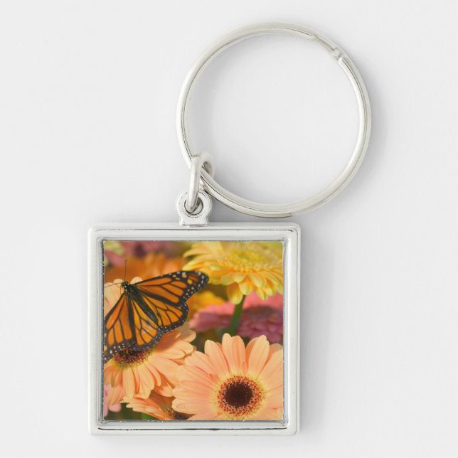 A Mourning Cloak Butterfly Key Ring (Front)