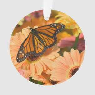 A Mourning Cloak Butterfly Ornament
