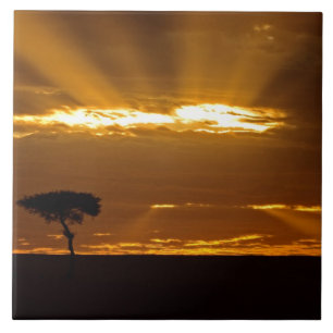 A mouth openning sunrise in the Maasai Mara Tile