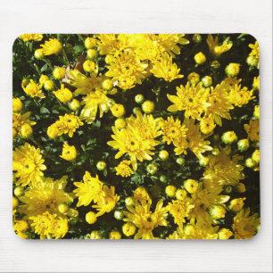 A Multitude of Yellow Mums Mouse Mat