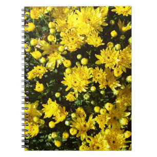 A Multitude of Yellow Mums Notebook