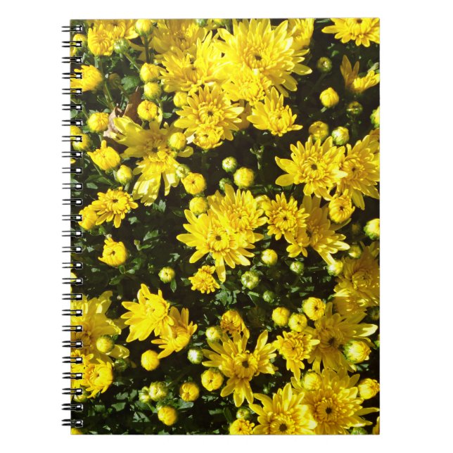 A Multitude of Yellow Mums Notebook (Front)
