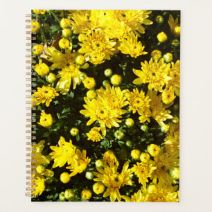A Multitude of Yellow Mums Planner