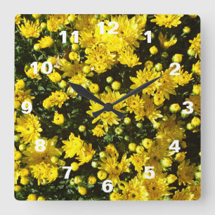 A Multitude of Yellow Mums Square Wall Clock
