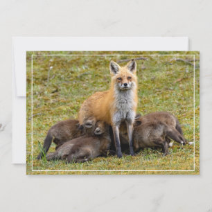 A Mum's Day Holiday Card