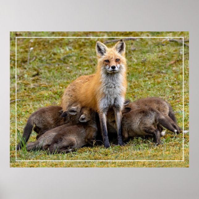 A Mum's Day Poster (Front)