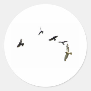 A Murder of Crows Classic Round Sticker