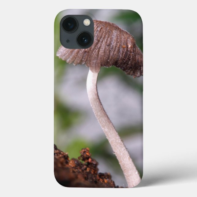 A Mushroom Case-Mate iPhone Case (Back)