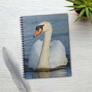 A Mute Swan Approaches Notebook