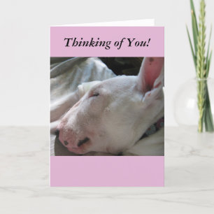 A Nap In The Sun-Thinking of You Card