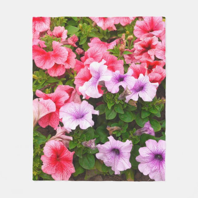A nature photo is a beautiful petunia flower. Plan Fleece Blanket (Front)