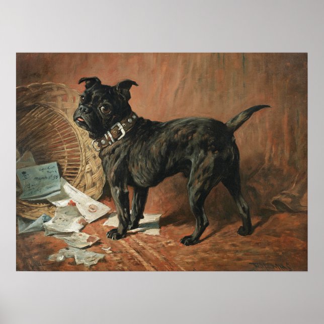 A Naughty Black Pug by John Emms Poster (Front)