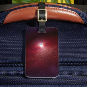 A Neutron Star With A Disc Of Warm Dust. Luggage Tag