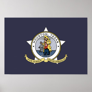 A New Flag for Houston poster