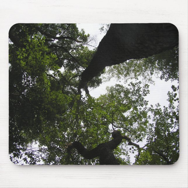A New Perspective - Trees Mouse Mat (Front)
