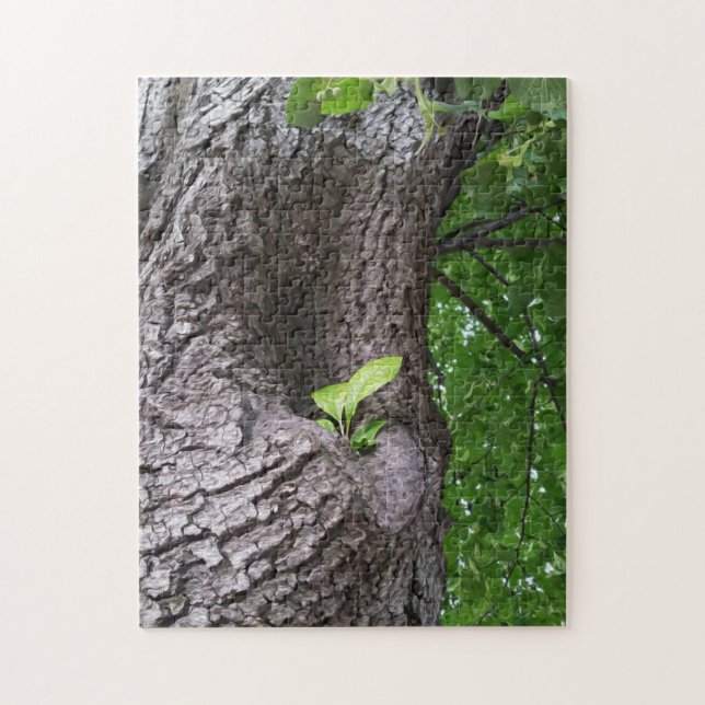 A new twig jigsaw puzzle (Vertical)