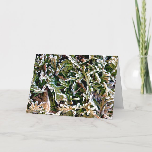 A New Year a new chance. Make it count! Holiday Card (Front)