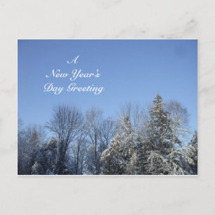 A New Year's Day Greeting Holiday Postcard