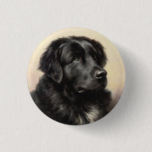 A Newfoundland Button