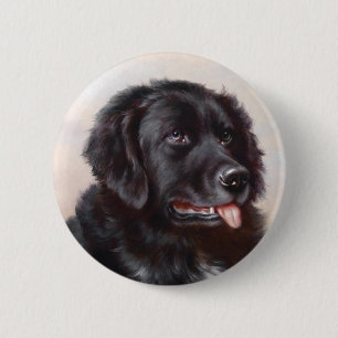 A Newfoundlander Button