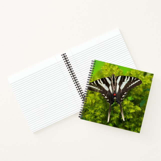 A North American Swallowtail Butterfly Notebook (Inside)