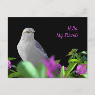 A Northern Mocking Bird with Purple & Green Leaves Postcard