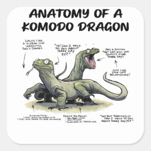 A nwaAnatomy Of A Komodo Dragon The Bearded Dragon Square Sticker