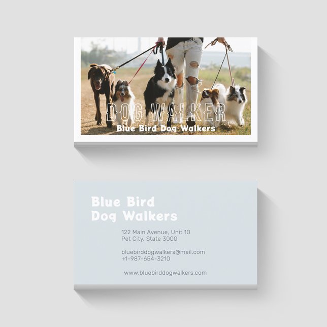 A Pack of Dogs Walker Business Card (Creator Uploaded)