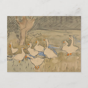 A Paddling of Ducks Postcard