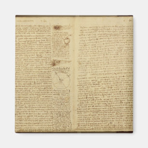 A page from the Codex Leicester, 1508-12 Magnet