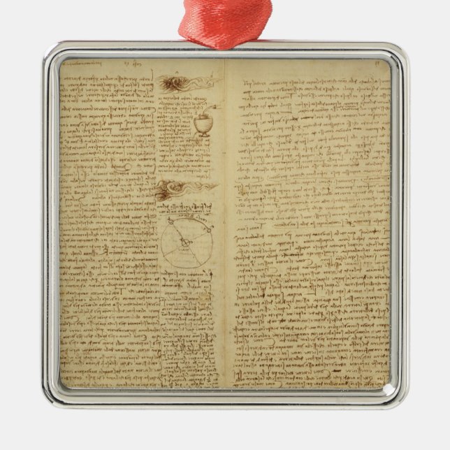 A page from the Codex Leicester, 1508-12 Metal Tree Decoration (Front)