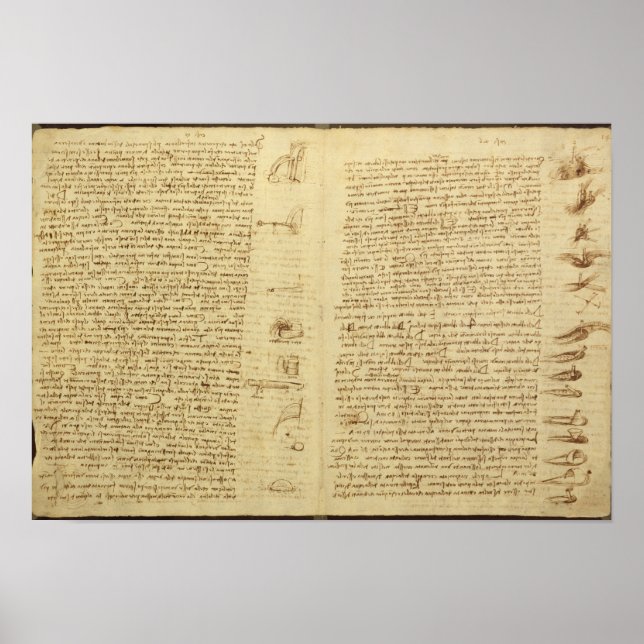 A page from the Codex Leicester, 1508-12 Poster (Front)