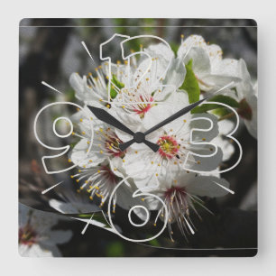 A page of white spring square wall clock