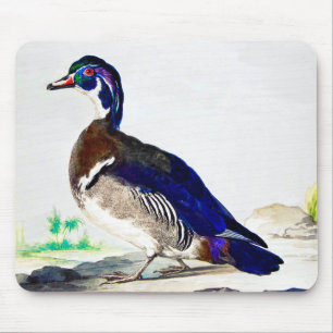 A painting of a duck by Aert Schouman Mouse Mat