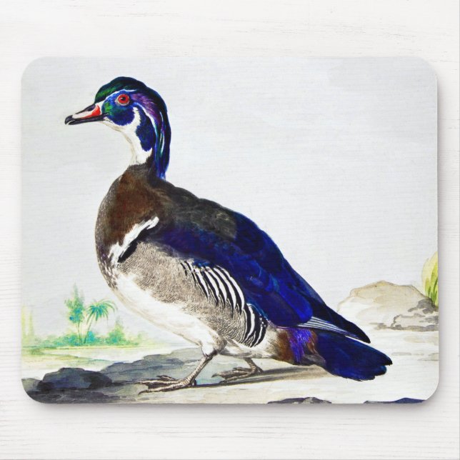 A painting of a duck by Aert Schouman  Mouse Mat (Front)