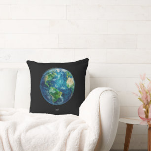 A painting of the earth in a space cushion