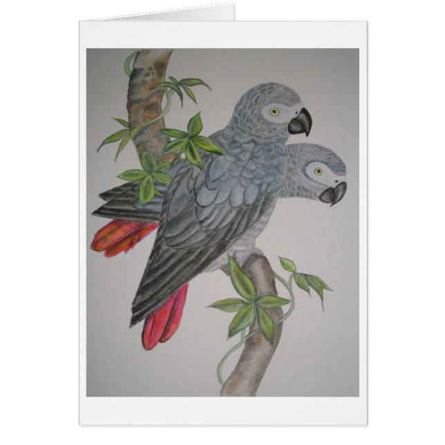 A Pair of African Grey Parrots watercolor painting (Front)