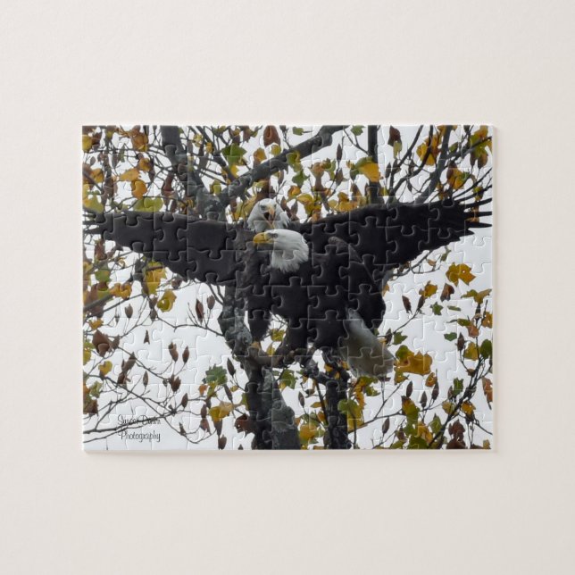 A Pair of Bald Eagles during Fall Season  Jigsaw Puzzle (Horizontal)