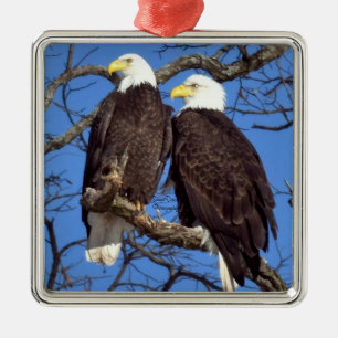 A Pair of Bald Eagles Metal Tree Decoration