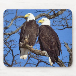 A Pair of Bald Eagles Mouse Mat