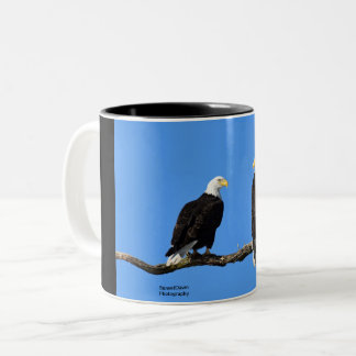 A pair of Bald Eagles Two-Tone Coffee Mug
