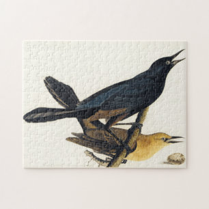 A Pair of Boat-Tailed Grackles Jigsaw Puzzle