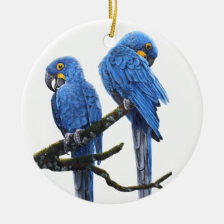 A pair of bright blue Hyacinth Macaws Ceramic Tree Decoration