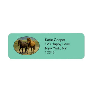 A Pair of Brown Icelandic Ponies
