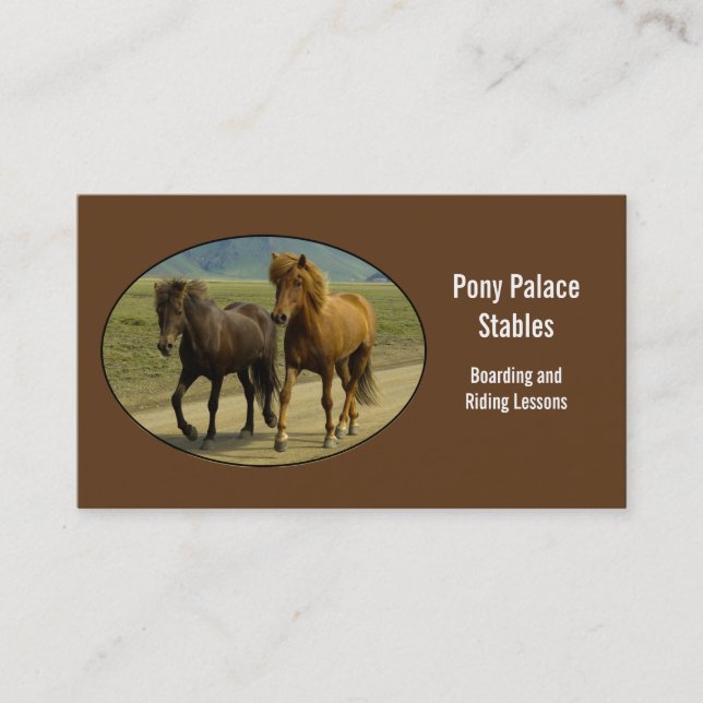 A Pair of Brown Icelandic Ponies Business Card (Front)