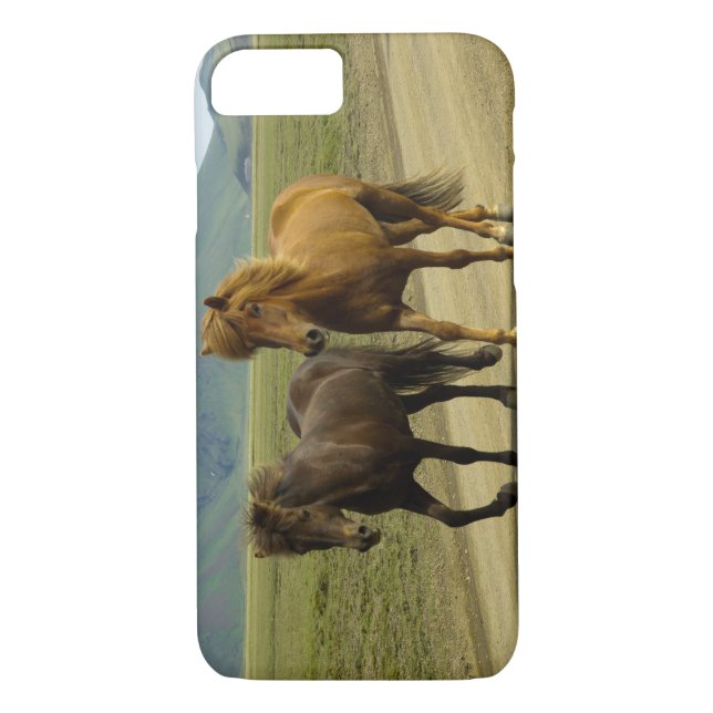 A Pair of Brown Icelandic Ponies Case-Mate iPhone Case (Back)