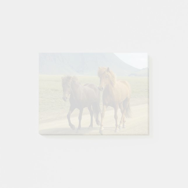 A Pair of Brown Icelandic Ponies Post-it Notes (Front)