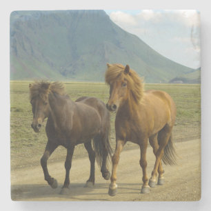 A Pair of Brown Icelandic Ponies Stone Coaster
