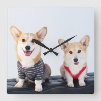 A Pair Of Corgis Sitting On A Bench Square Wall Clock