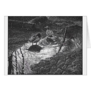 A pair of duck at a puddle after rain